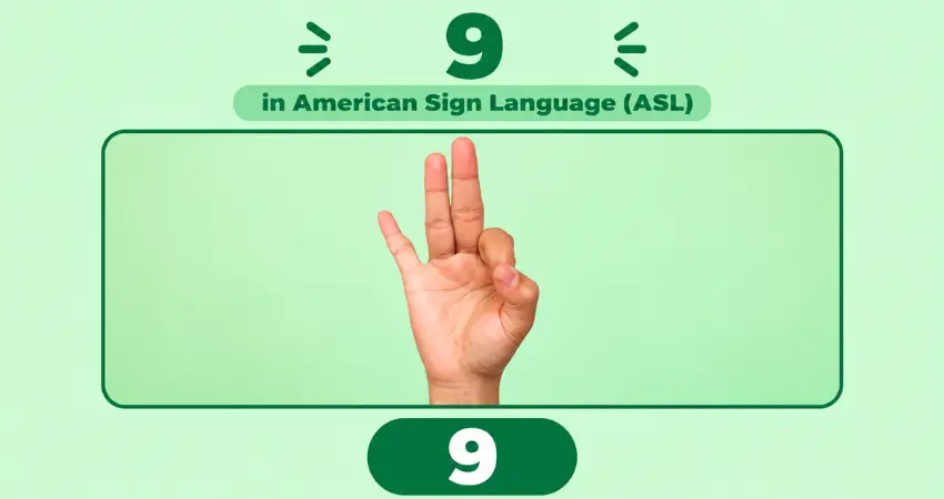 Number 9 in American Sign Language (ASL): thumb touching the index finger, middle, ring and pinky fingers extended up