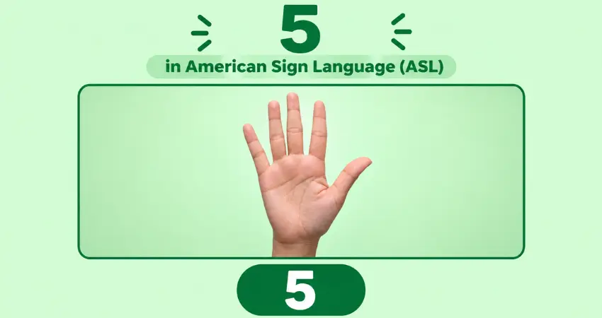 Number 5 in American Sign Language (ASL): open hand with all five fingers and thumb spread wide, green background