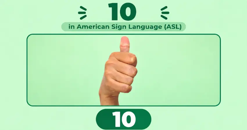 Number 10 in American Sign Language (ASL): closed fist with thumb pointing up, the ASL handshape for ten, green background