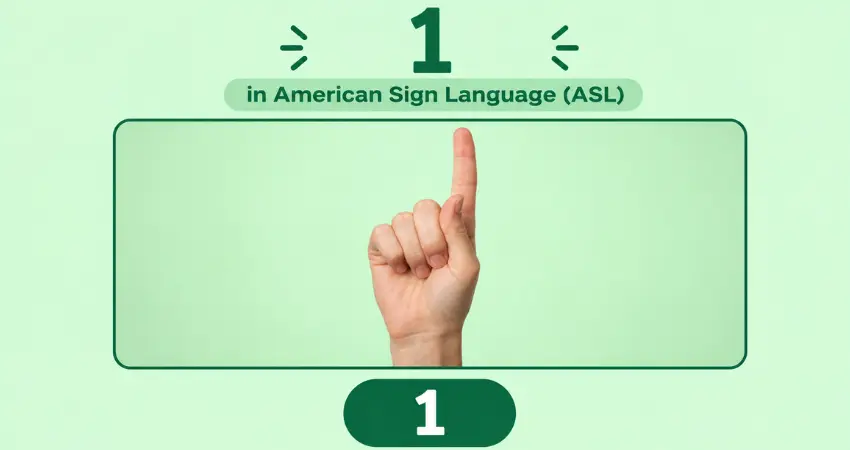 Number 1 in American Sign Language (ASL): index finger pointing up, other fingers curled, thumb tucked, green background