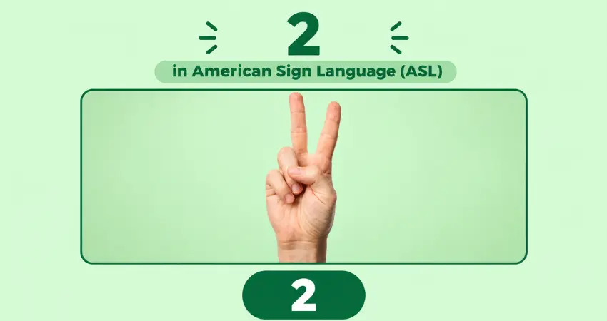 Number 2 in American Sign Language (ASL): index and middle fingers raised in a V shape, thumb holding the other fingers
