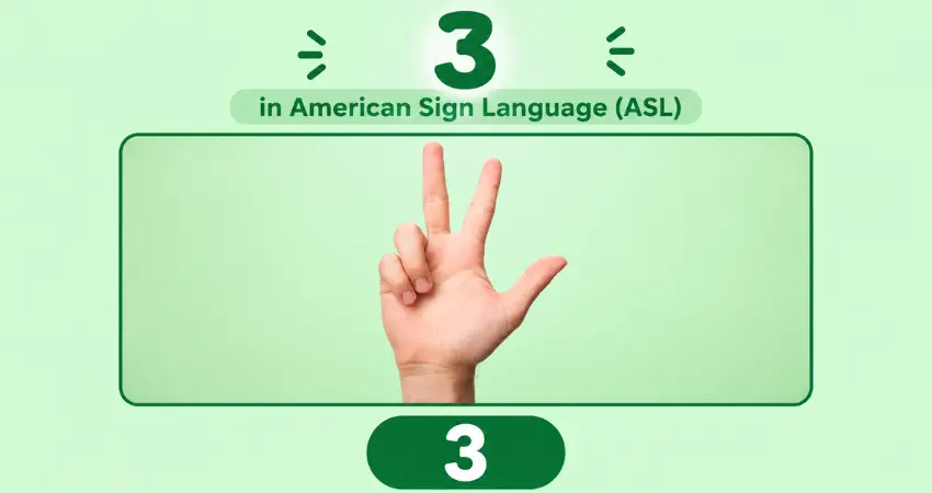 Number 3 in American Sign Language (ASL): thumb, index and middle fingers extended, ring and pinky fingers folded down