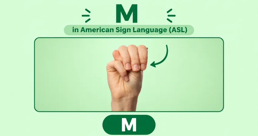 Letter M in American Sign Language (ASL) hand sign - closed fist, three fingers over thumb