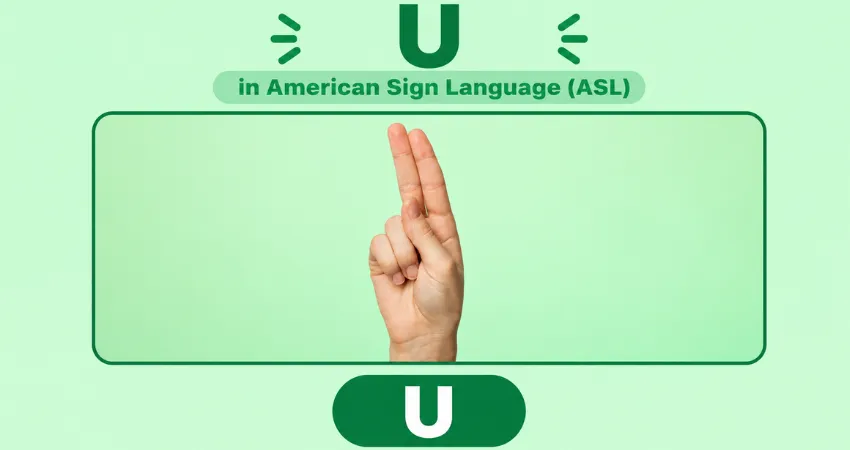Letter U in American Sign Language (ASL) hand sign - index and middle fingers up and together