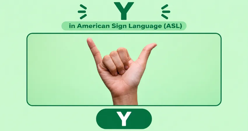 Letter Y in American Sign Language (ASL) hand sign - thumb and pinky extended, other fingers folded