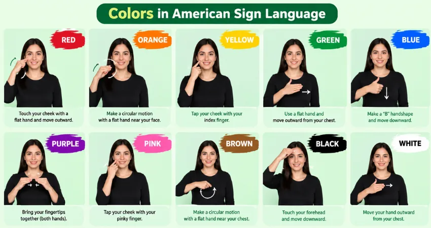 Colors in American Sign Language chart showing ten color signs: red, orange, yellow, green, blue, purple, pink, brown, black, white.