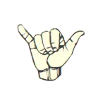 Y in sign language