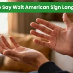 Two hands open and facing up, demonstrating the ASL sign for "Wait" in a living room setting.
