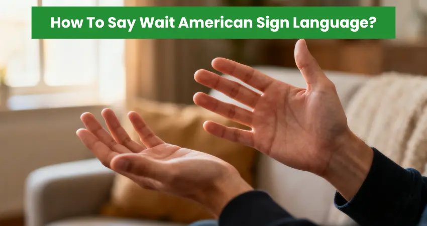 Two hands open and facing up, demonstrating the ASL sign for "Wait" in a living room setting.