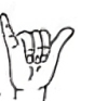 Y in sign language