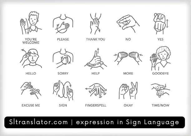 How to say You're Welcome, Please, Thank You, No, Yes, Hello, Sorry, Help, More, Goodbye, Excuse Me, Sign, Fingerspell, Okay, Time/Now in Sign Language