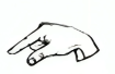 Q in sign language