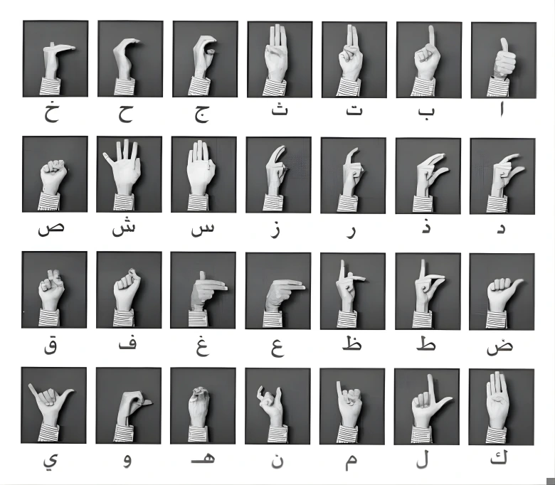 Arabic Sign Language Alphabet Chart