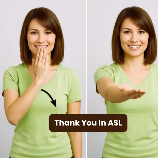 Two-step guide showing woman signing Thank You in ASL — hand to chin then extending forward